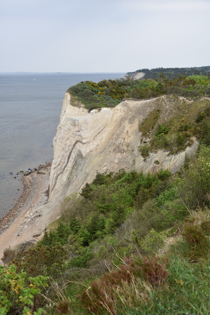 Knudeklinterne Cliff on the Island of Fur in Denmark