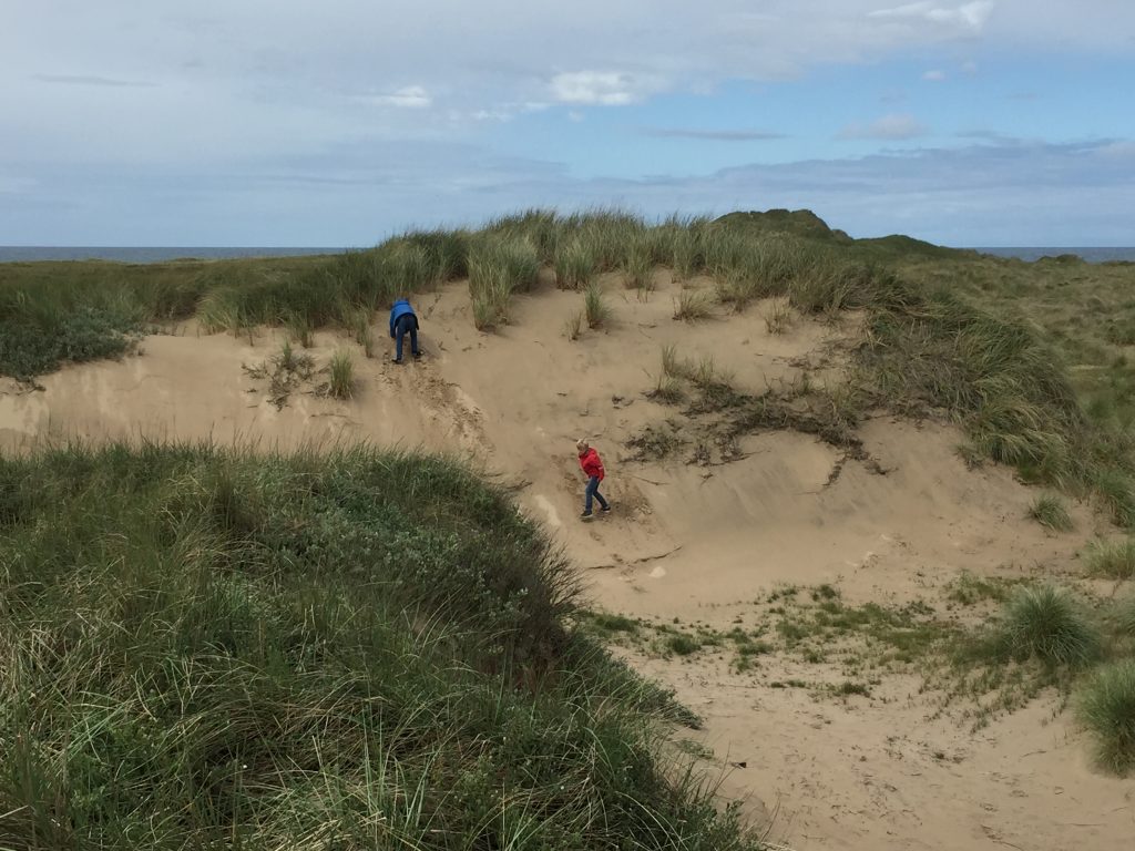 The Sand Dunes at the National Park Thy in NW Denmark (My New Danish Life)