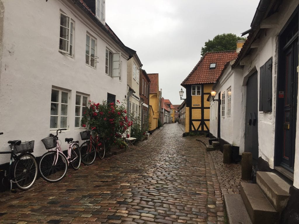 Cobblestone Streets of Ribe, Denmark (My New Danish Life)