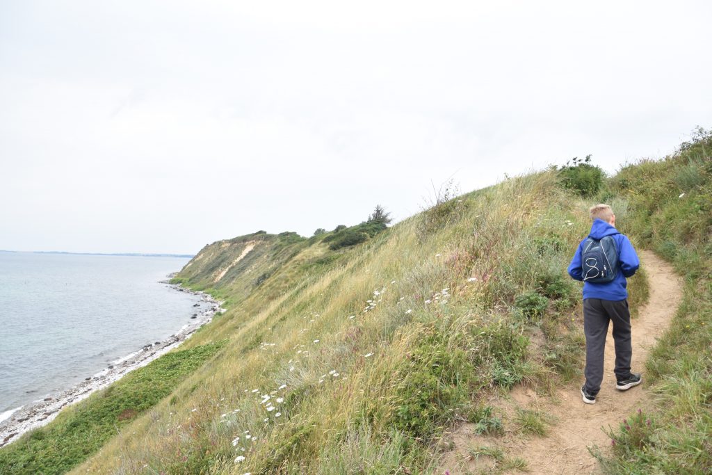 Hiking Path to the Ristinge Klint (Cliff) Langeland Denmark (My New Danish Life)