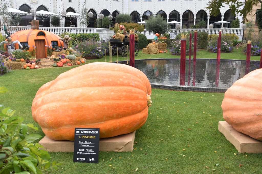kaempegraeskar (giant pumpkins) at Tivoli Gardens in Copenhagen Denmark