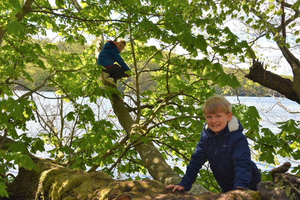 Hald Sø Fallen Trees for Climbing Outdoor Activities for Kids Viborg, Denmark mynewdanishlife