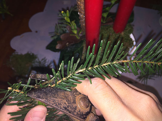 Step Six (adding branches) for a Christmas Centerpiece, Danish Juledekoration (tutorial)