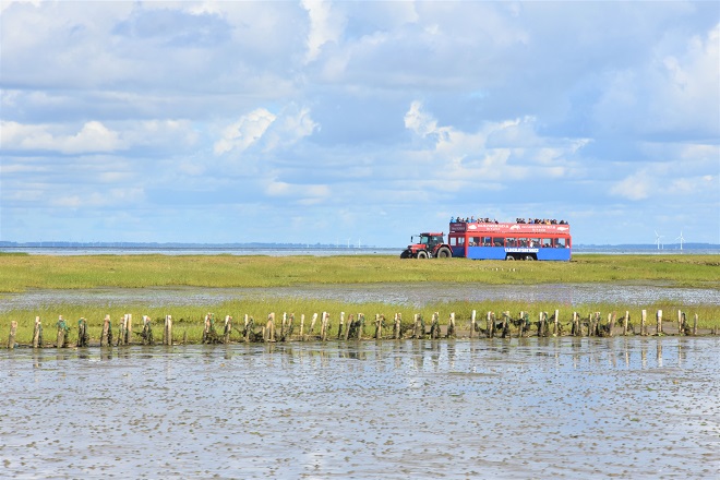 Mandø Bus Tour in Southwestern Denmark