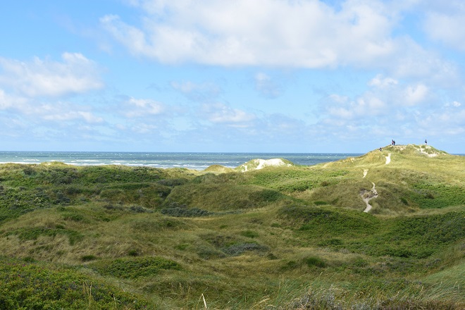 National Park Vadehavet,in Blåvand Denmark